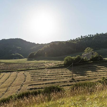 Agriturismo L'Antico Frutto 普雷米尔库奥雷 外观 照片