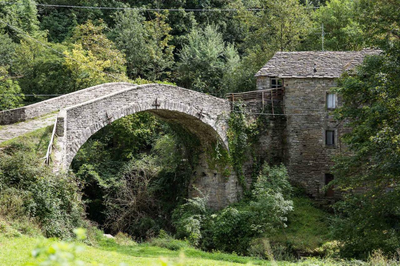 Agriturismo L'Antico Frutto 普雷米尔库奥雷 外观 照片