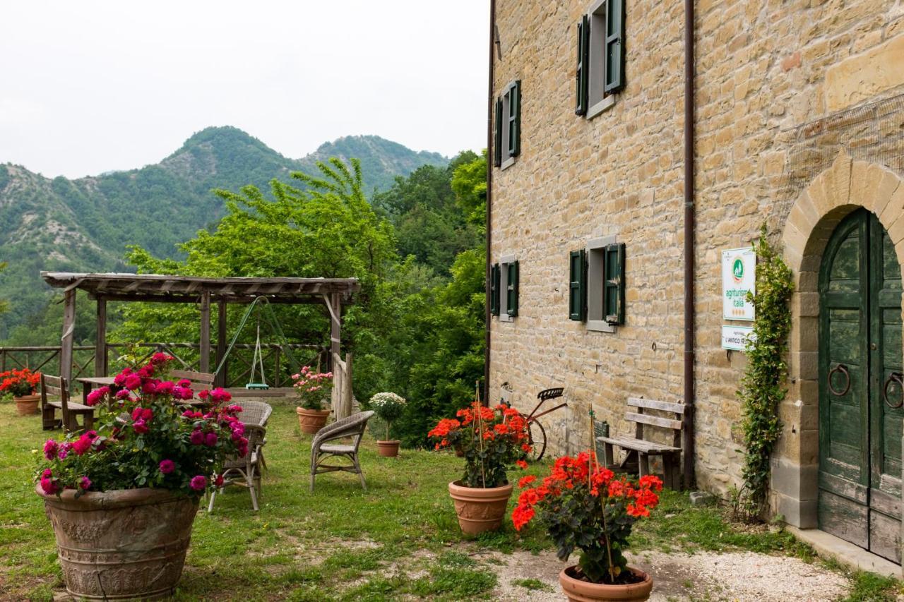 Agriturismo L'Antico Frutto 普雷米尔库奥雷 外观 照片