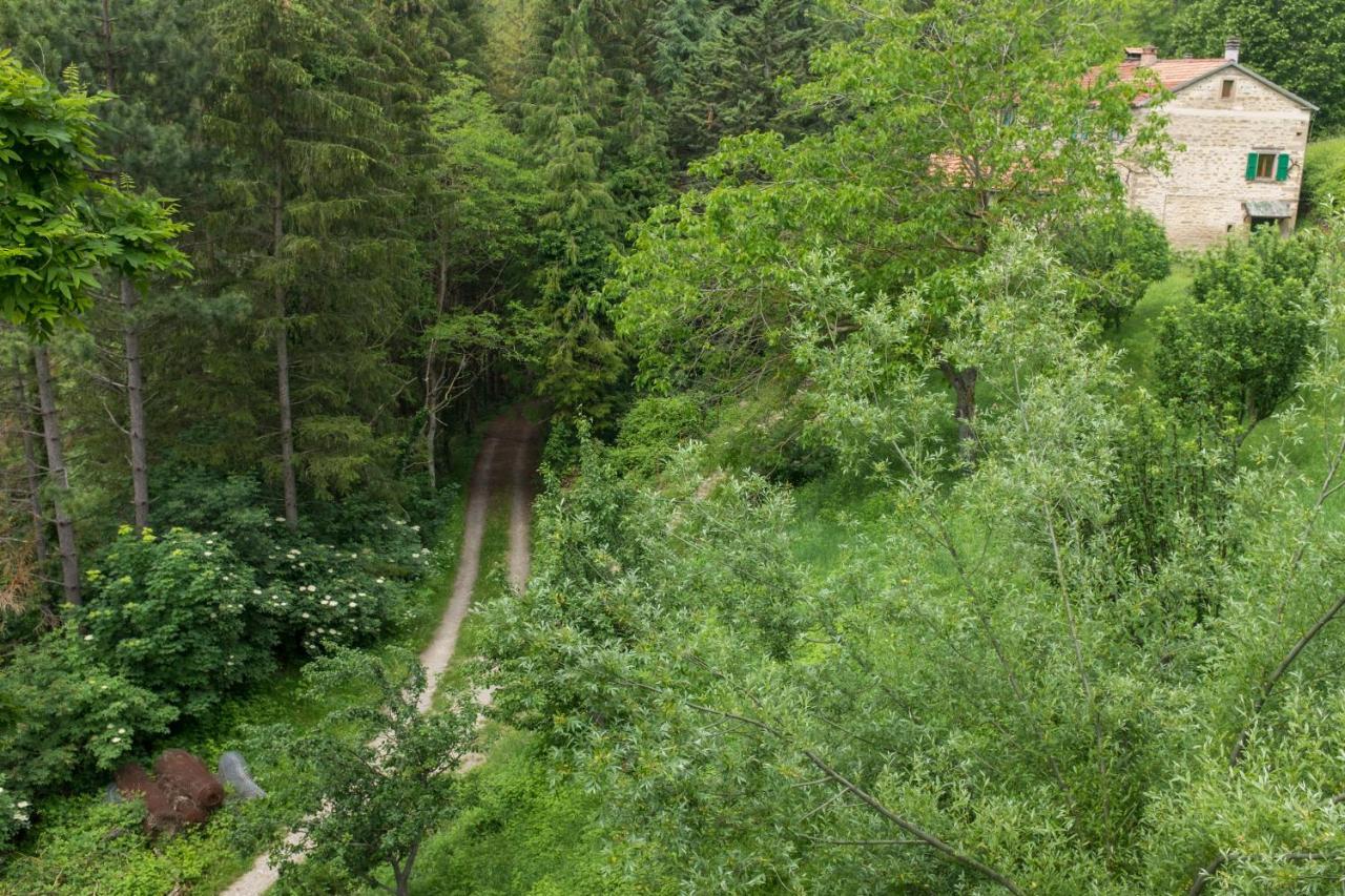 Agriturismo L'Antico Frutto 普雷米尔库奥雷 外观 照片