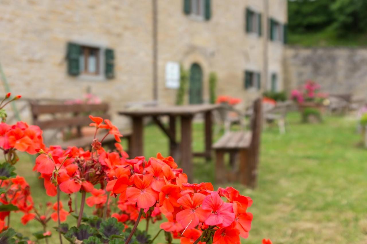 Agriturismo L'Antico Frutto 普雷米尔库奥雷 外观 照片
